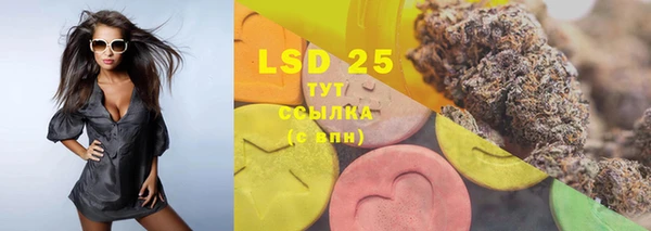 индика Семёнов