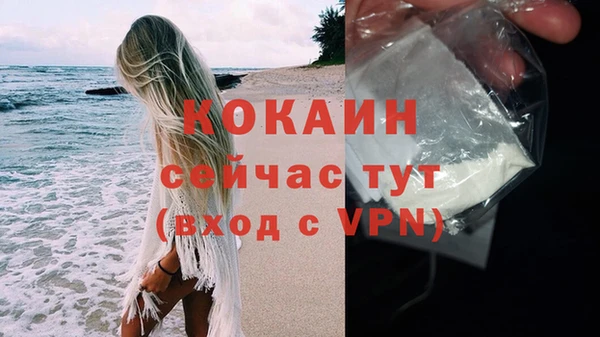 индика Семёнов