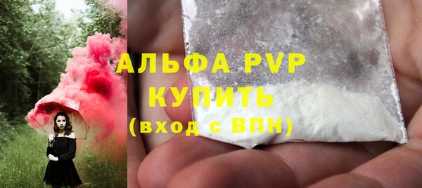 индика Семёнов