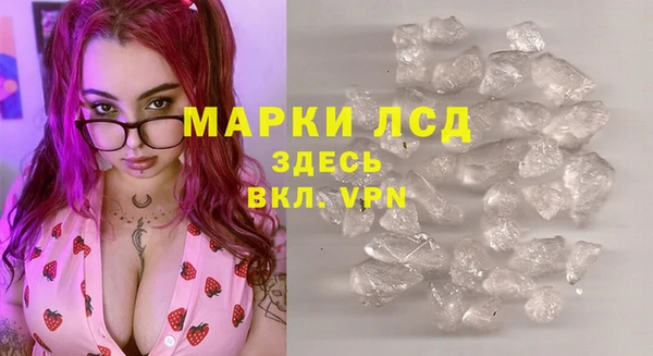 индика Семёнов