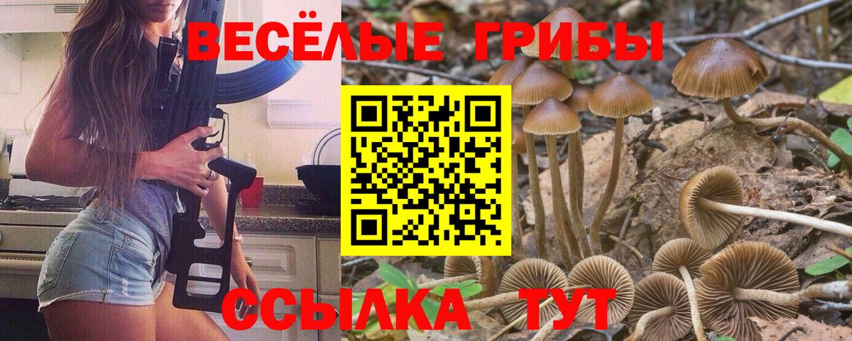 Псилоцибиновые грибы Cubensis  Псилоцибиновые грибы ЛСД  Вход с VPN  Анапа 