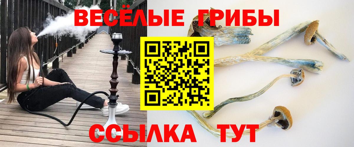 МДМА  ТГК  Меф кристаллы  Кокаин  Анапа  ГАШ  Конопля  Вход с VPN  АМФЕТАМИН кристаллы 