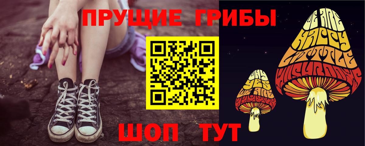 Псилоцибиновые грибы GOLDEN TEACHER  Анапа 